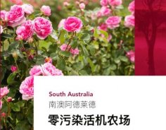 澳洲高端美妝品牌Jurlique茱莉蔻，成功入駐圣悅詩國際連鎖系統